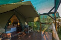 Фото Amadwala Lodge