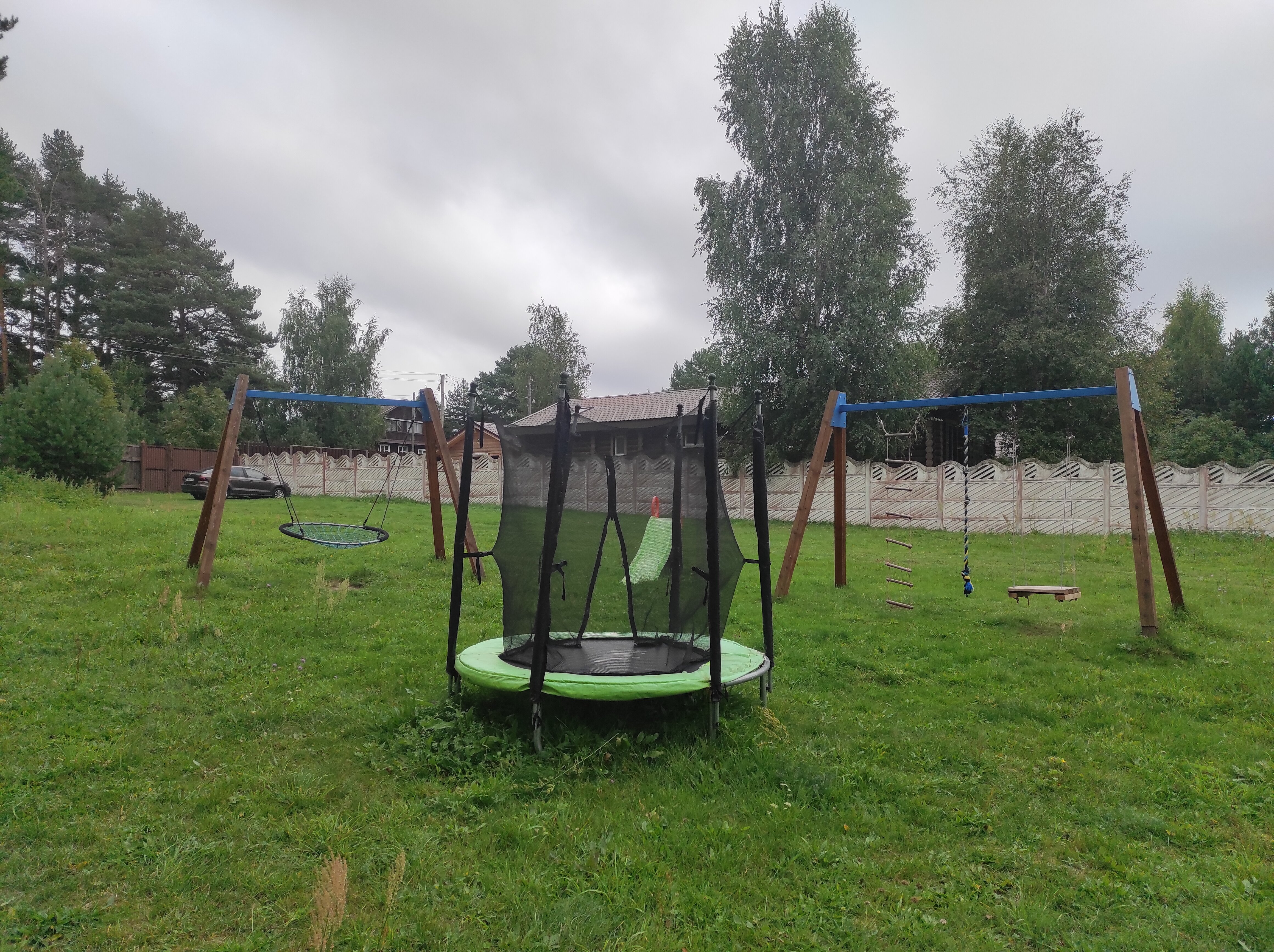 Фото Можжевеловый бор