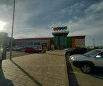 Царство Посейдона (Leontiya Krivenkova Street, 26) ، الأسماك والمأكولات البحرية