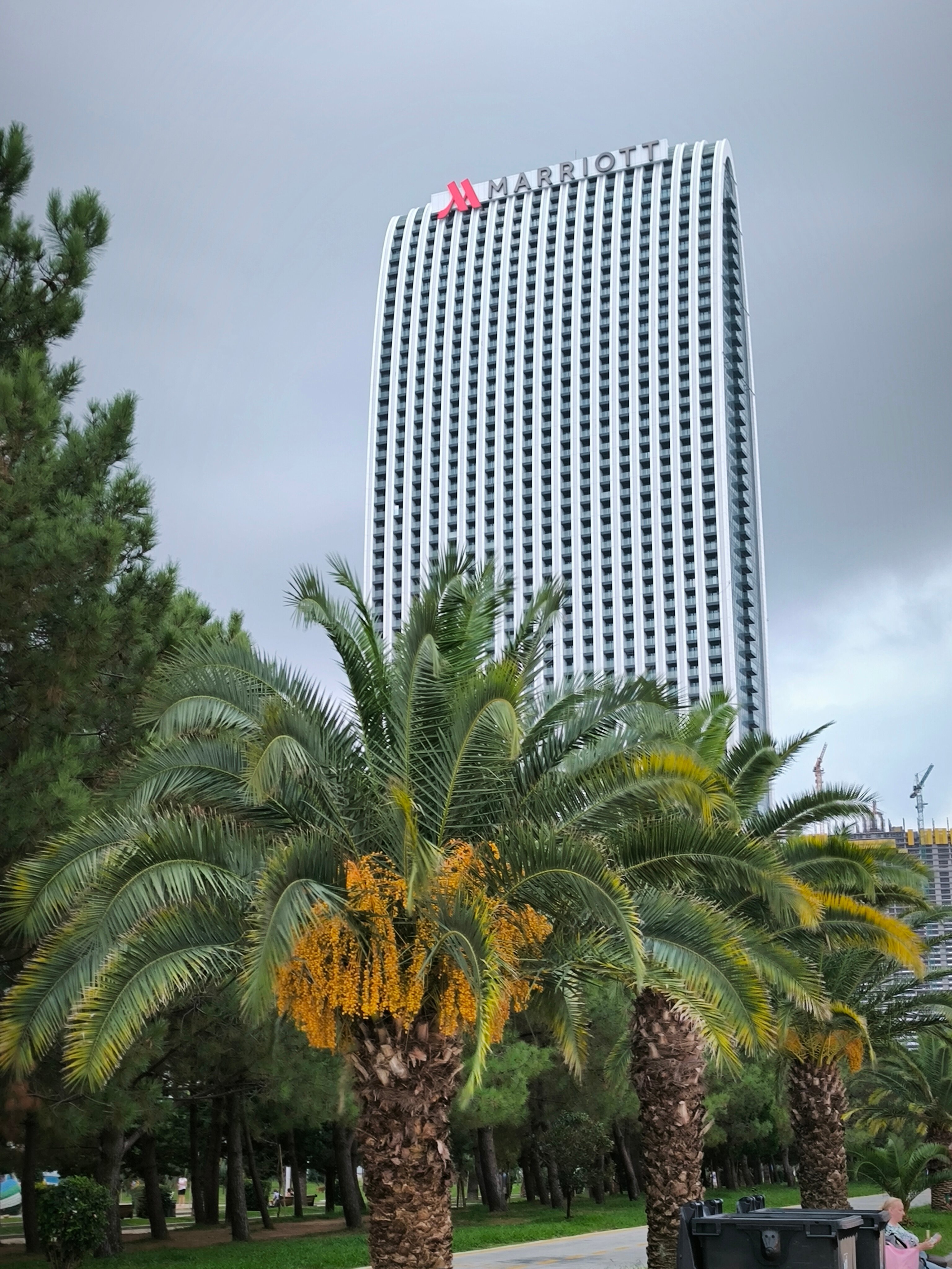 Фото 181974327857