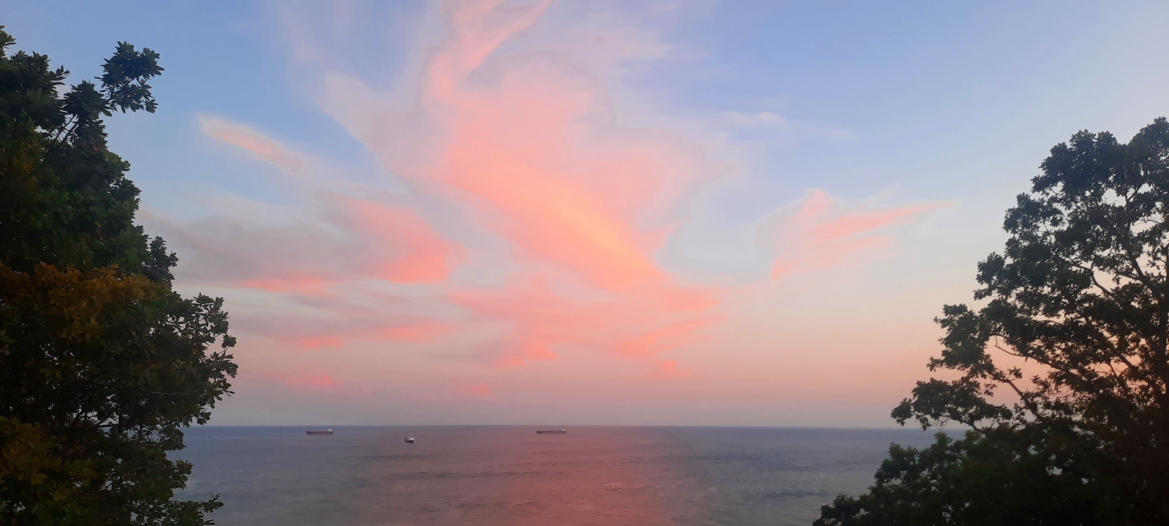 Фото Дубовая Роща