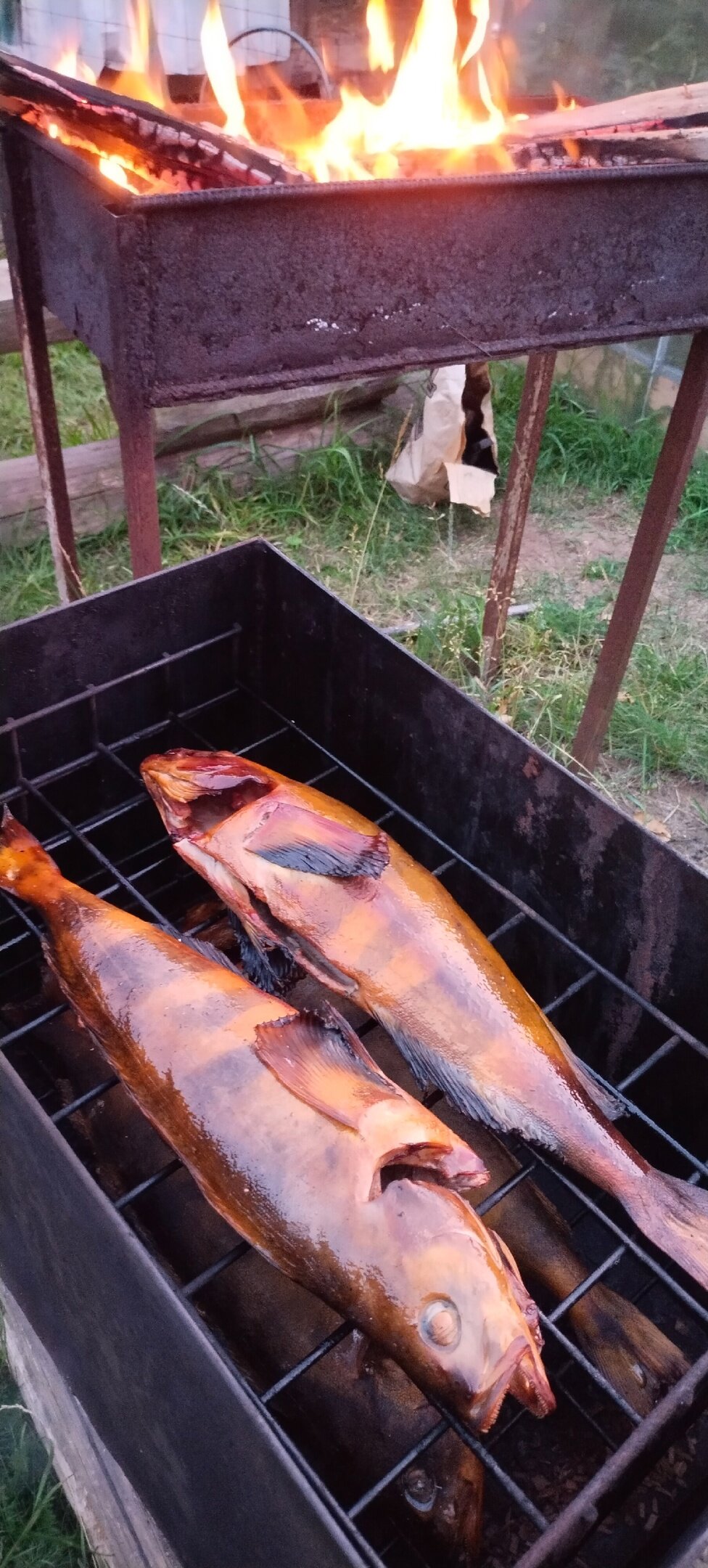 Фото Отдых на Волго