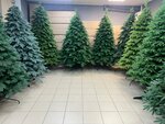 Ёлки (ulitsa 25 Sentyabrya, 20), christmas trees and christmas decorations