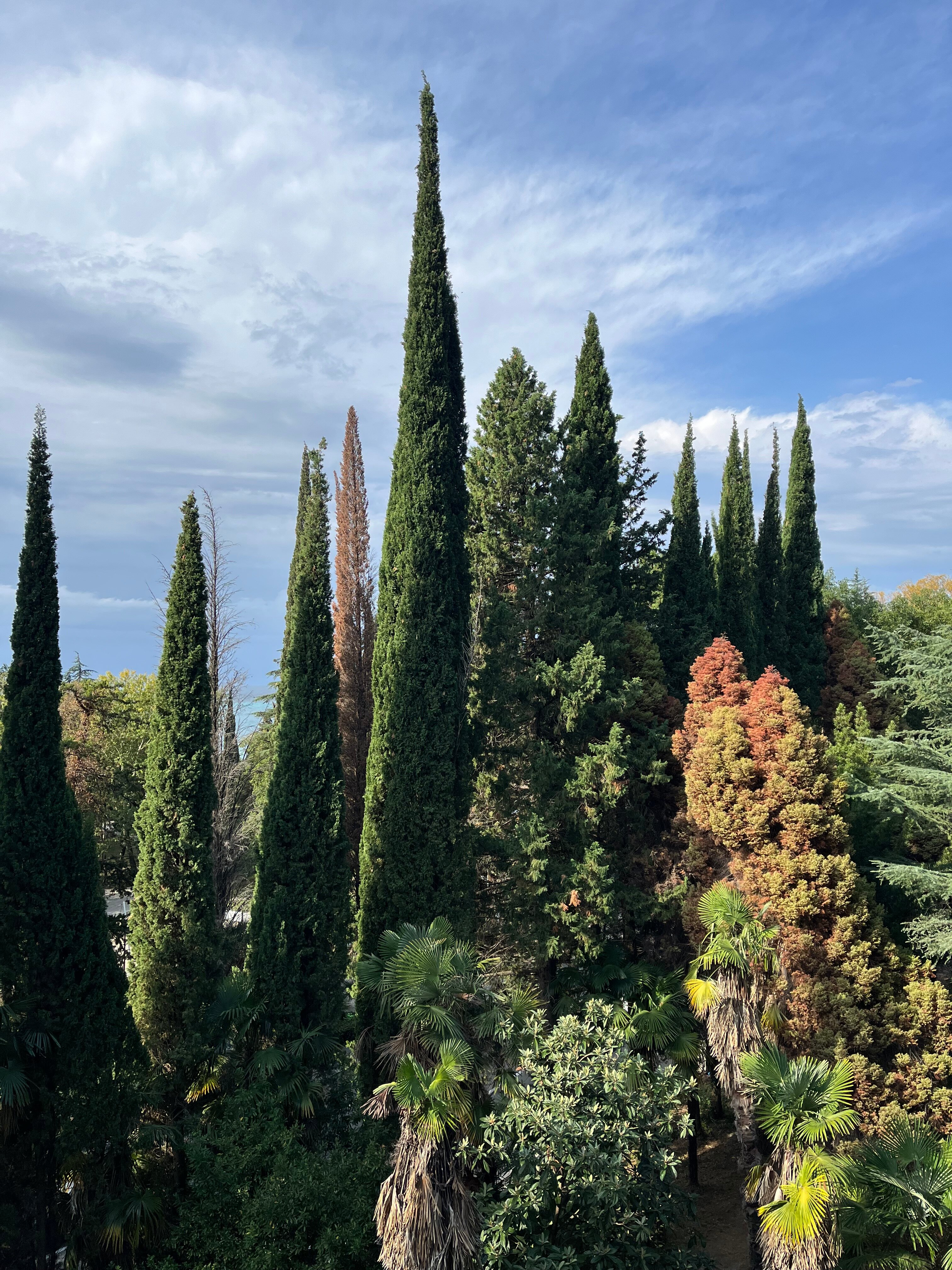 Фото Отель Гагра