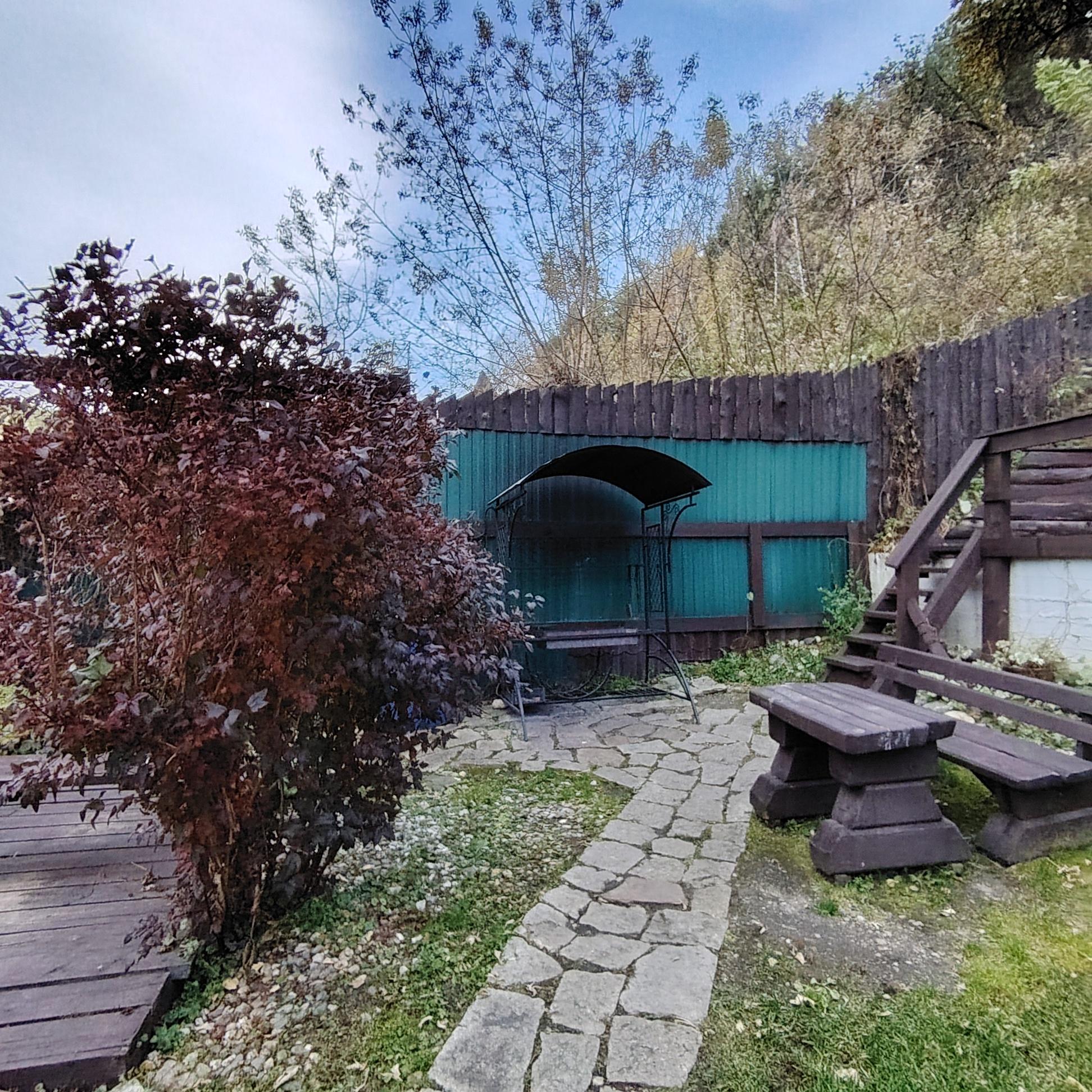 Фото Горная Пчела