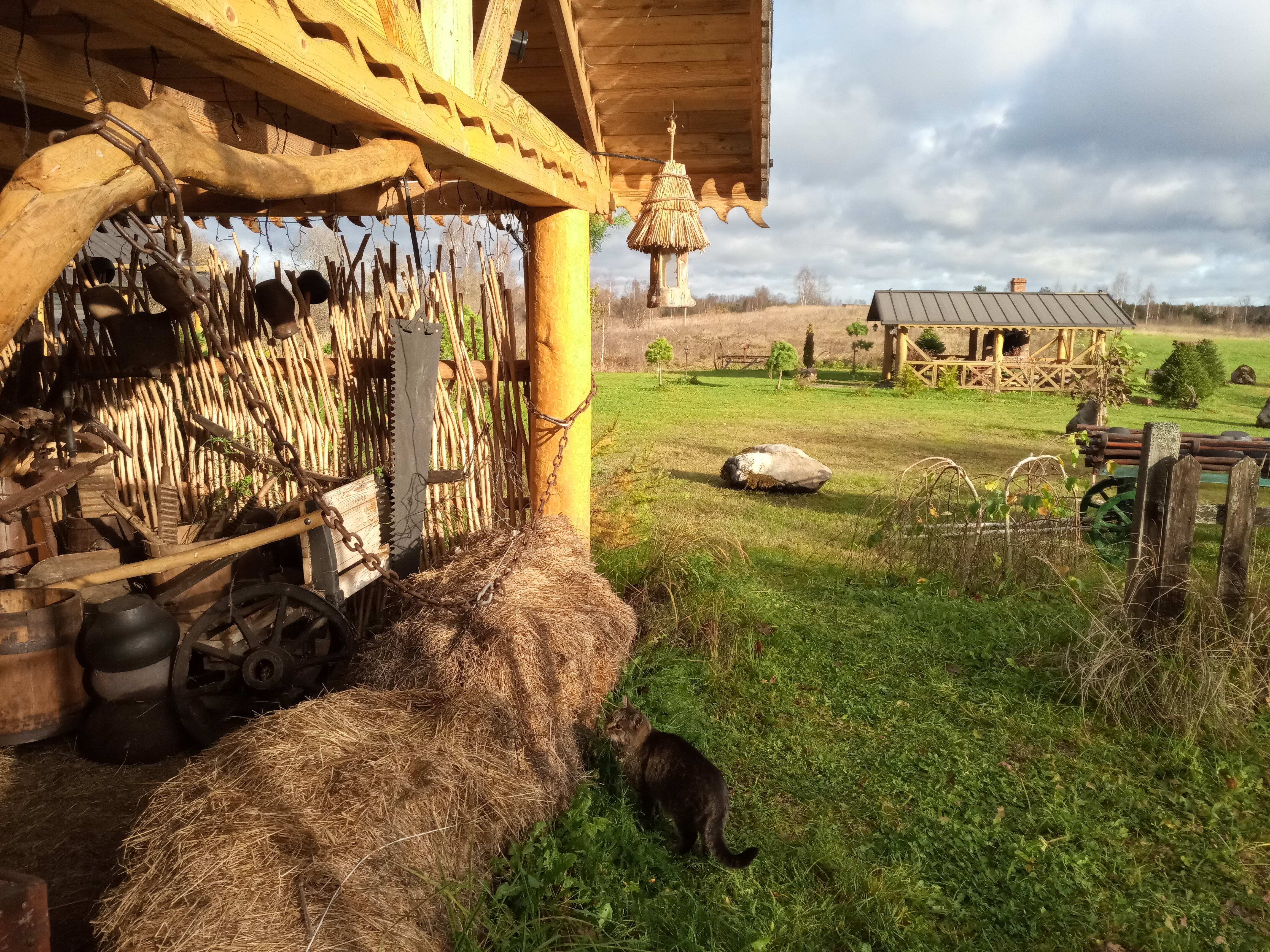 Фото Псковские дали