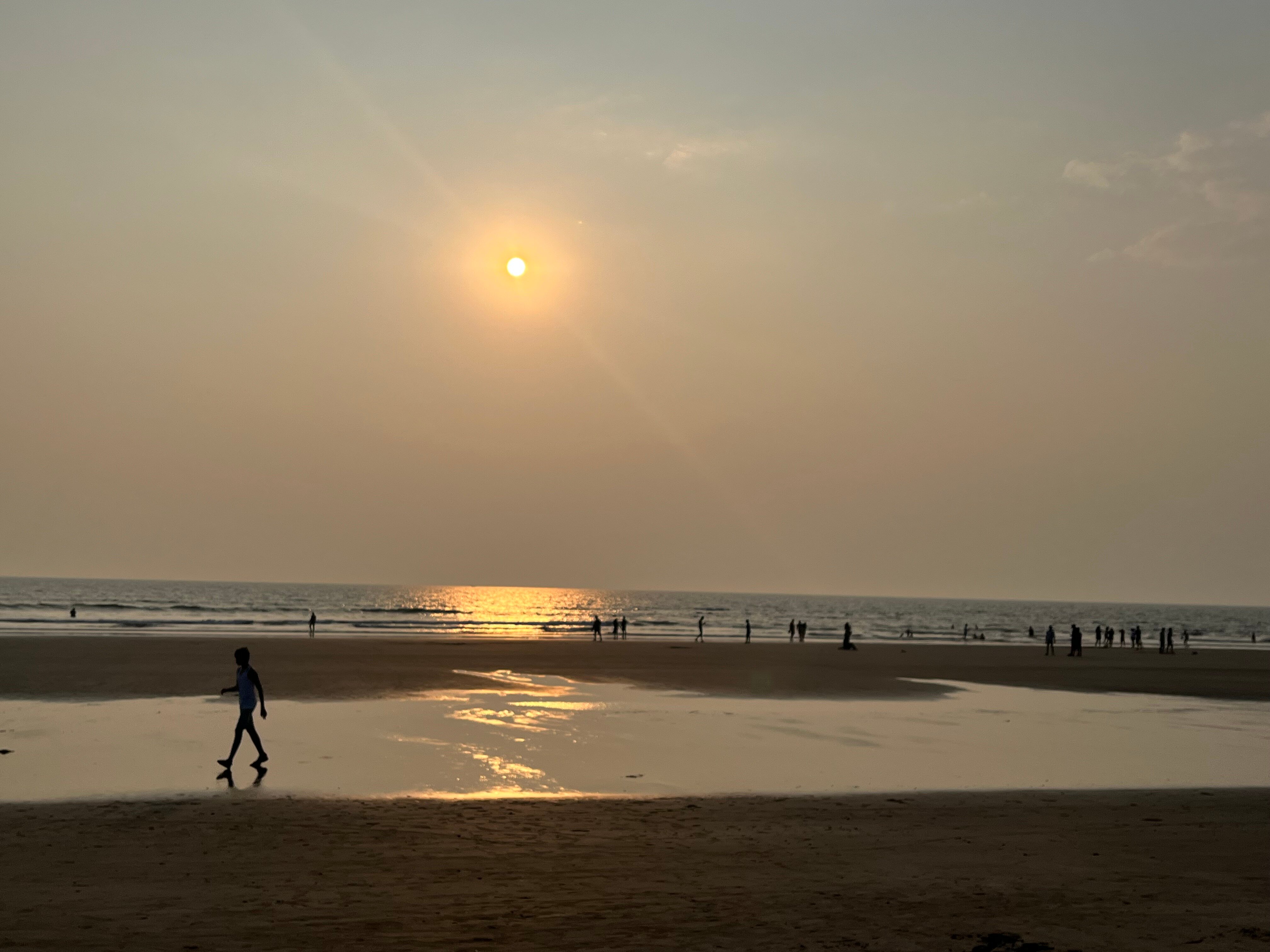 Фото White Woods Resort and Spa