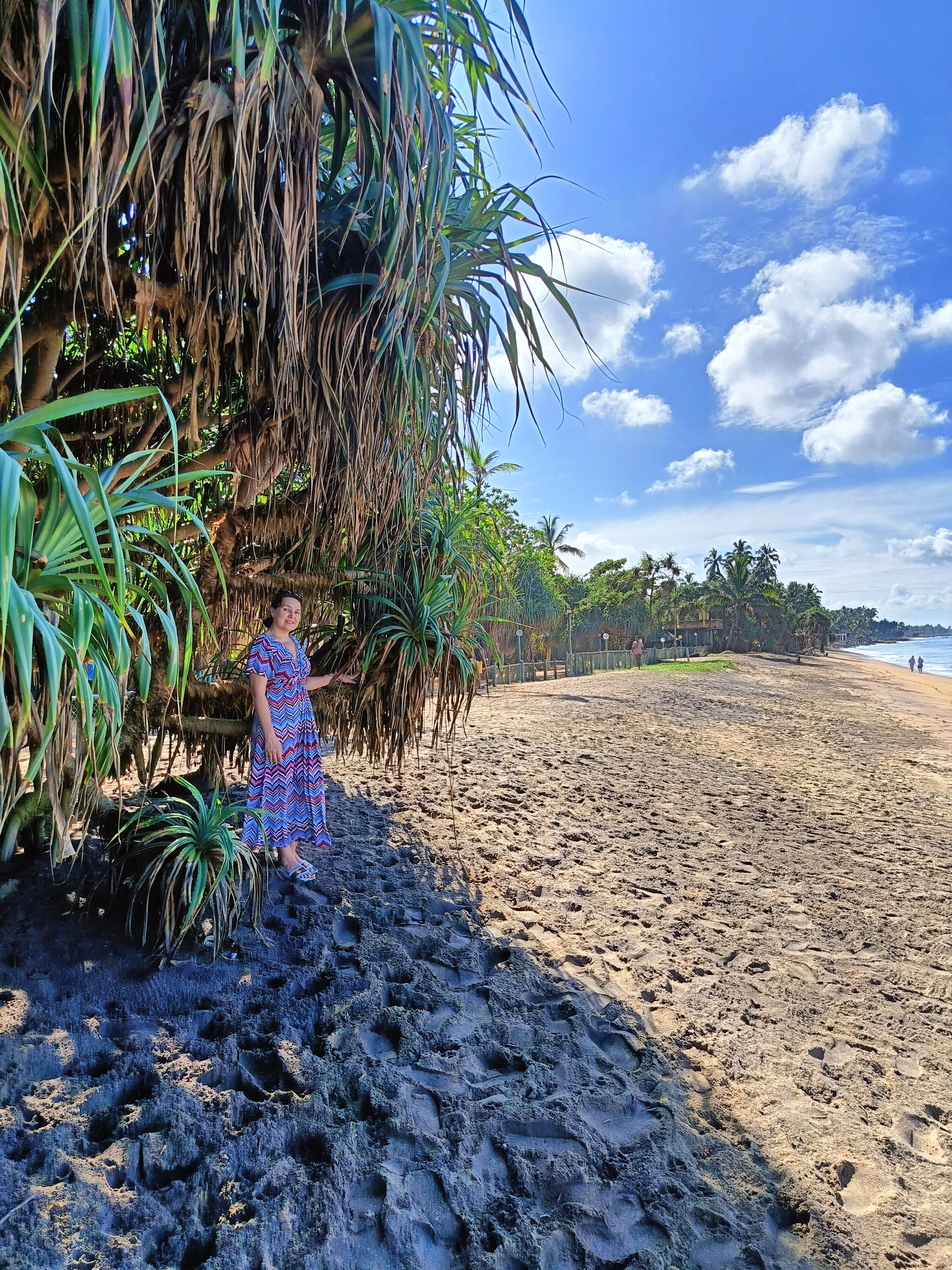 Фото Hibiscus Beach Hotel & Villas