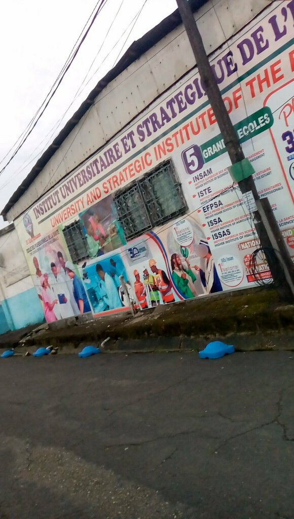 Professional development center Institut universitaire et stratégie de l'estuaire, Douala, photo