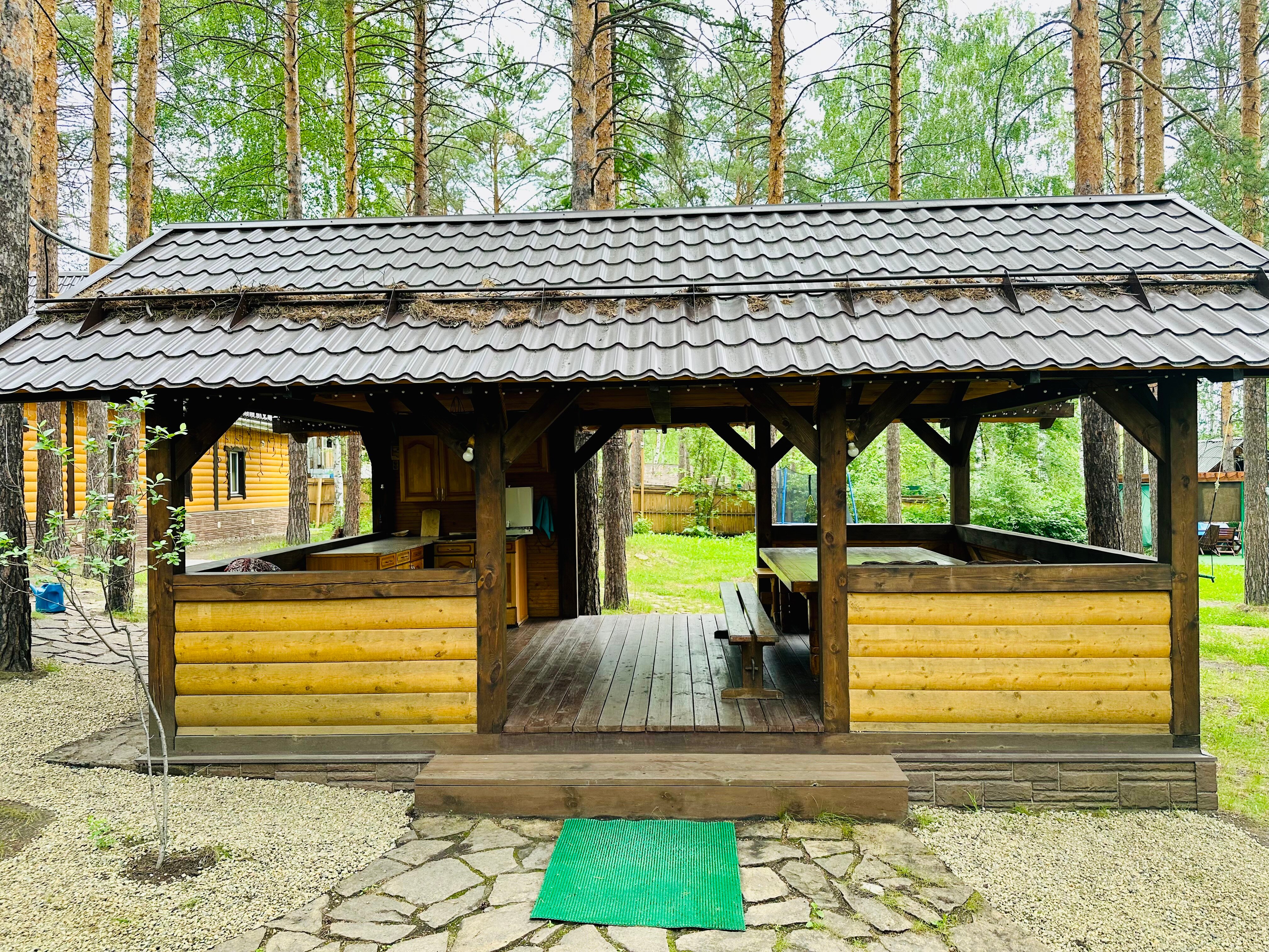 Фото Сосны-Лес