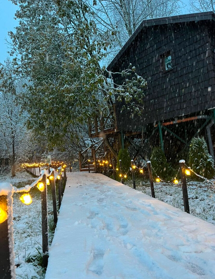 Фото В Кронах ‎