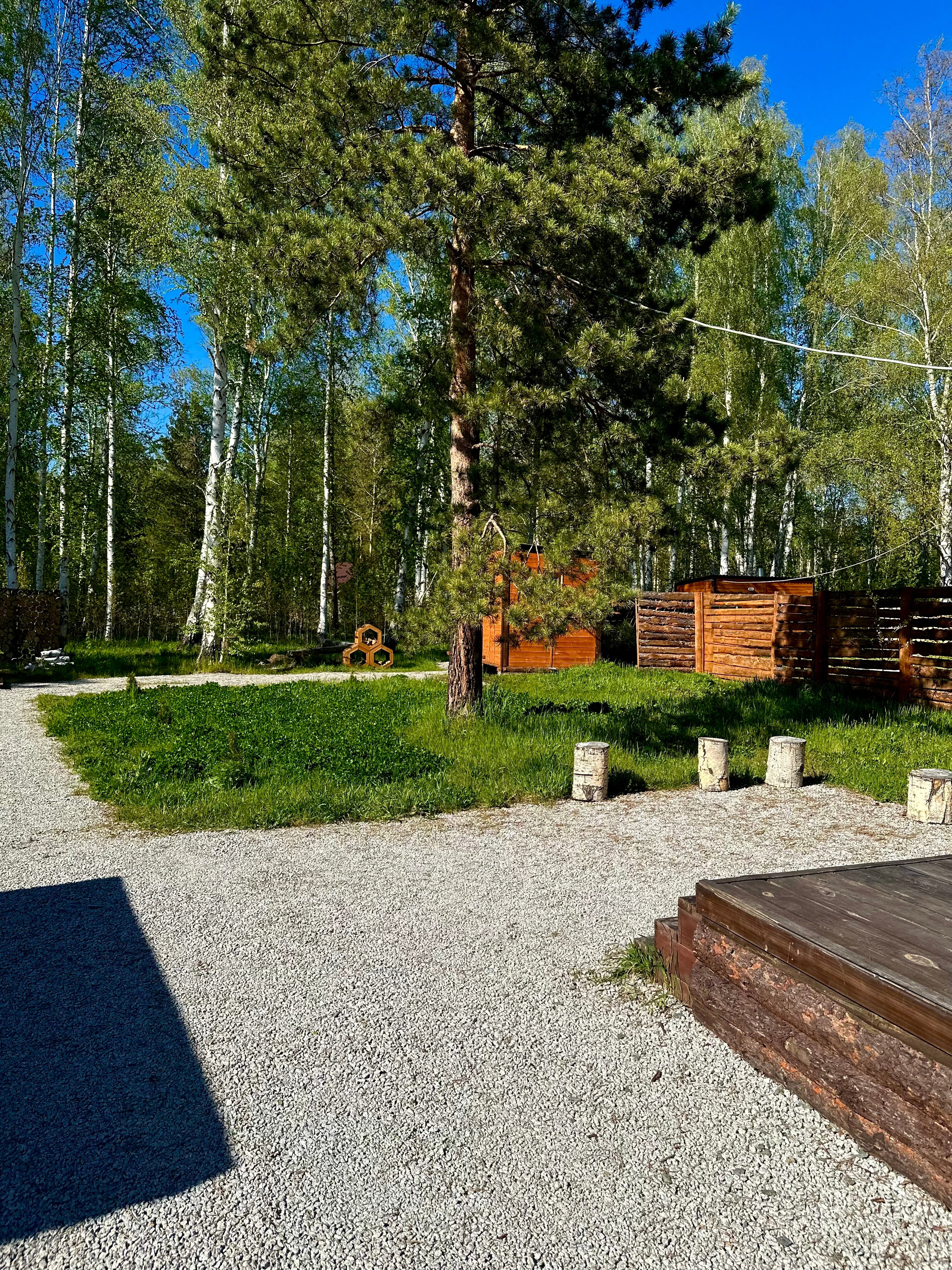 Фото Тихий Кот
