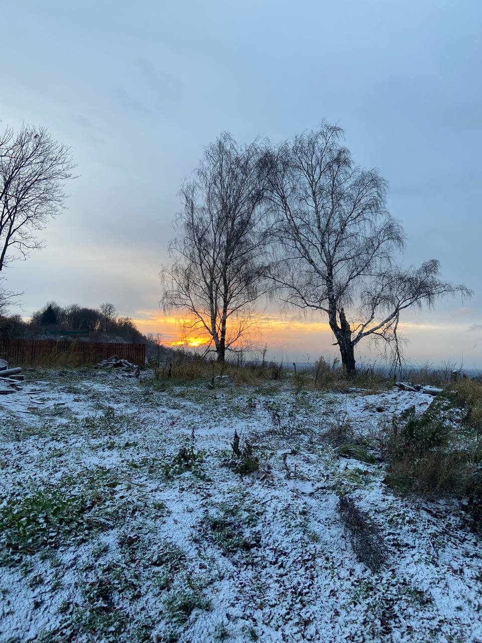 Фото Подвязье Парк