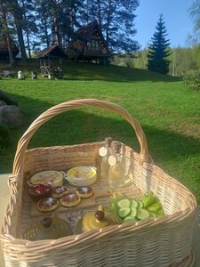 Сосновая роща