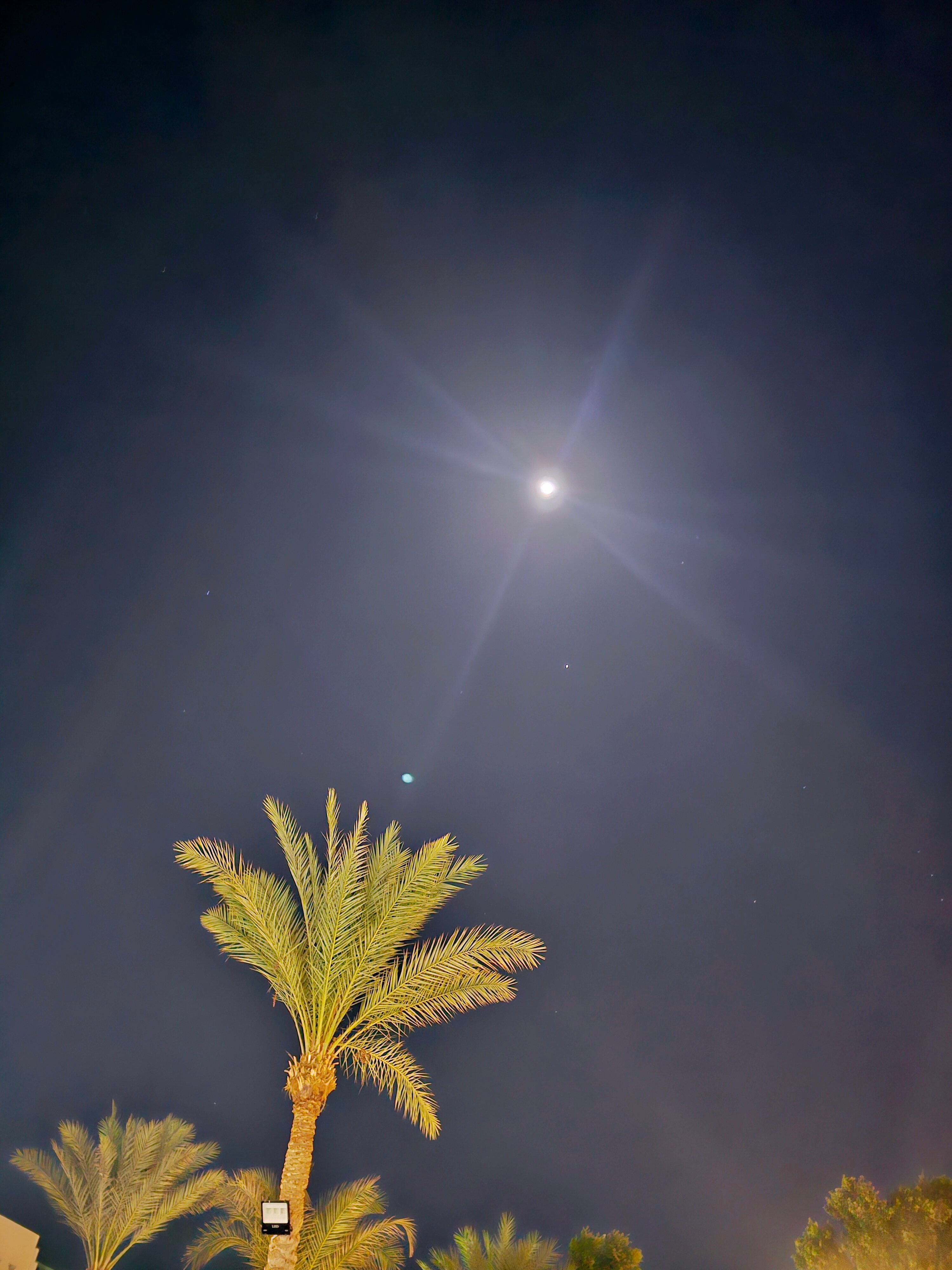 Фото Falcon Hills Hotel