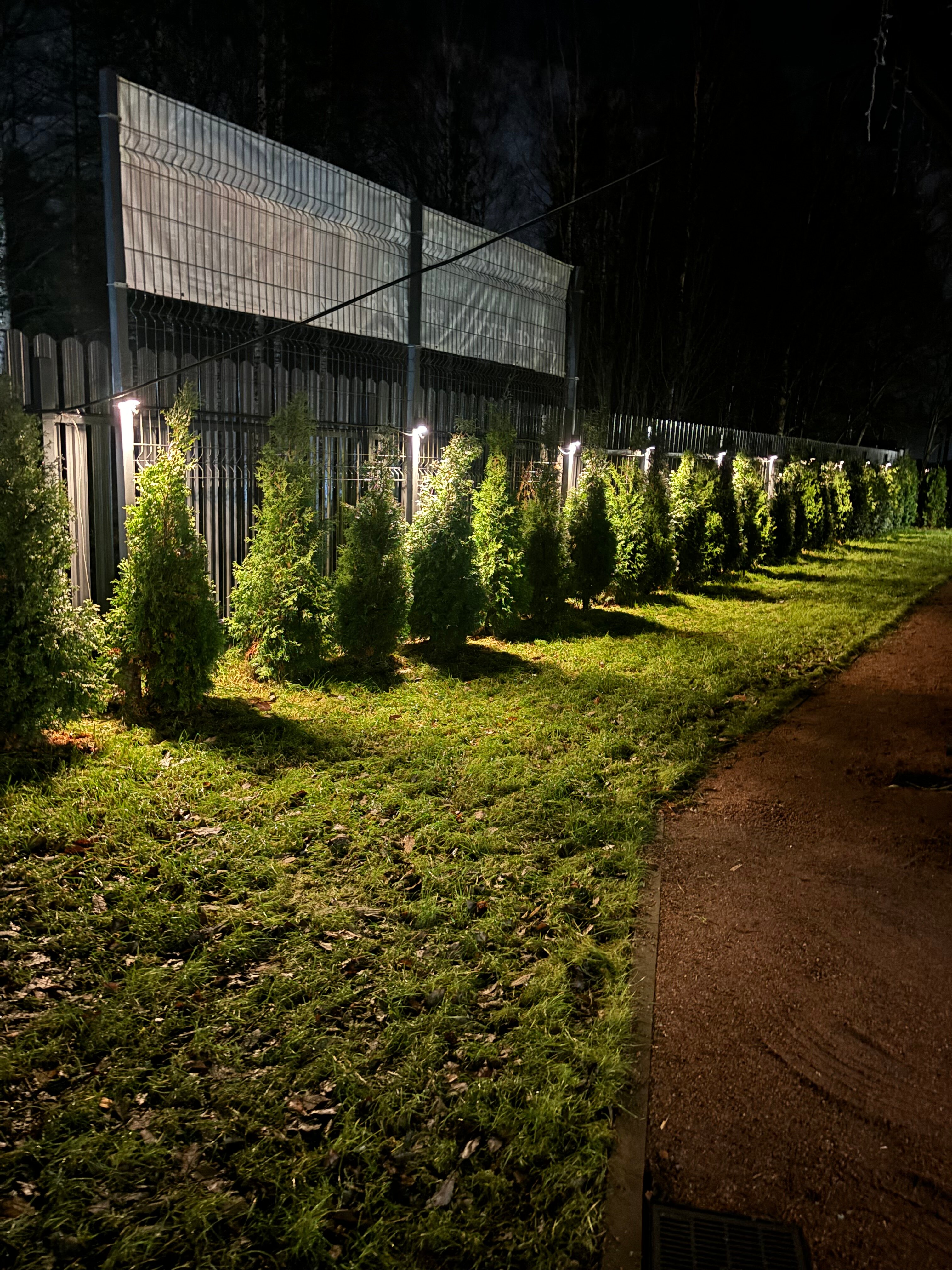 Фото Традиция отдыха