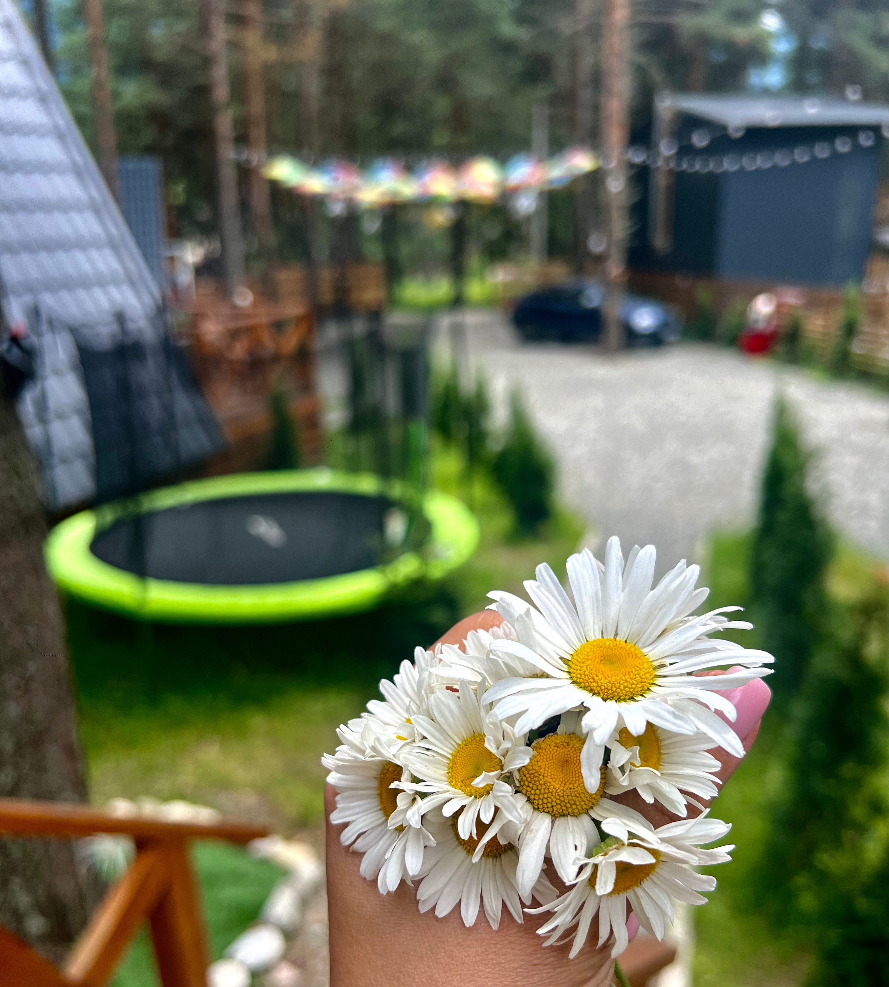 Фото Терраса Домики в Архызе