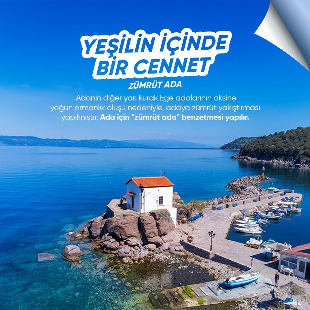 Tour operator Jalem Tour, Ayvalik, photo