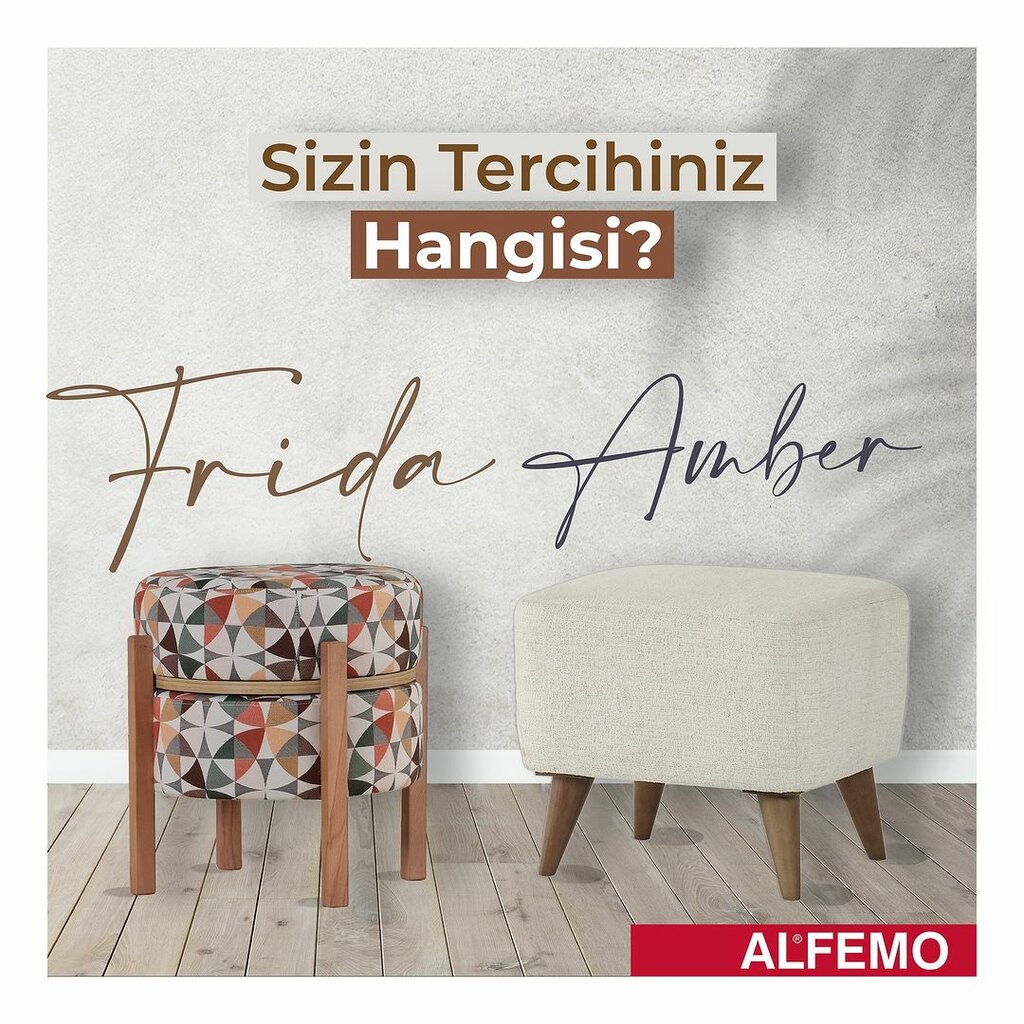 Management company Alfemo, Torbali, photo