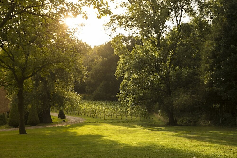 Фото Hotel Winselerhof