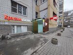 Krasnoe&Beloe (Tonkinskaya Street, 1А) ، محل بقالة
