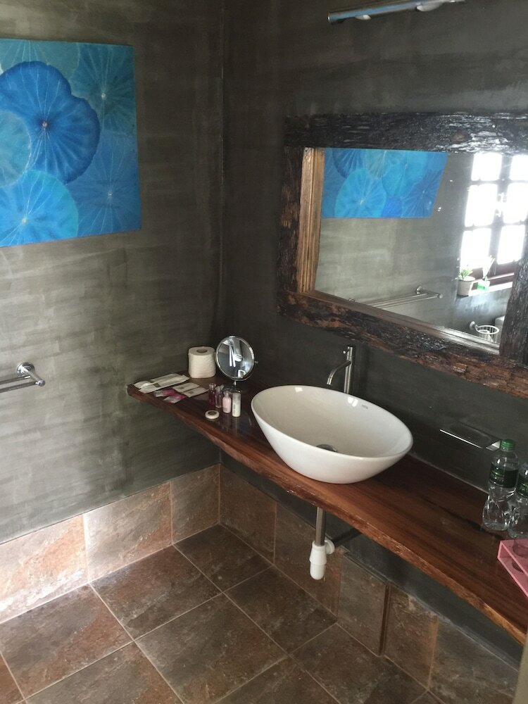 Фото Tree Roots Retreat