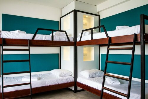 Гостиница Lazy Koala Hostel - Adults Only