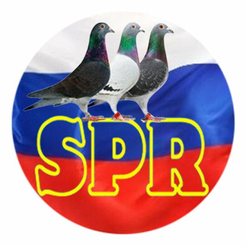 Petshop Sports Pigeons of Russia, Moskova, foto