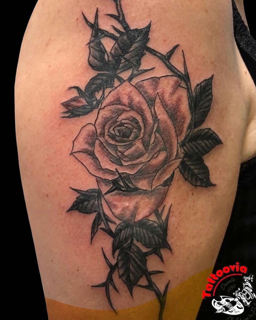 Tattoo studio Tattoovia -, Santa Cruz de la Sierra, photo