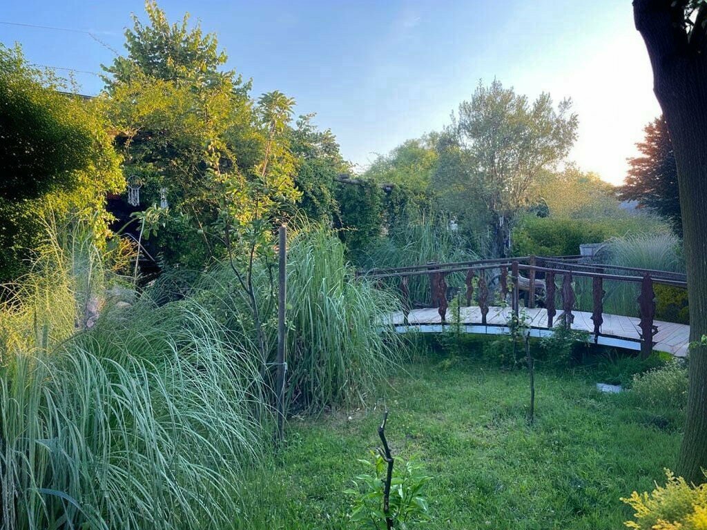 Restaurant Mitza park, Basiskele, photo