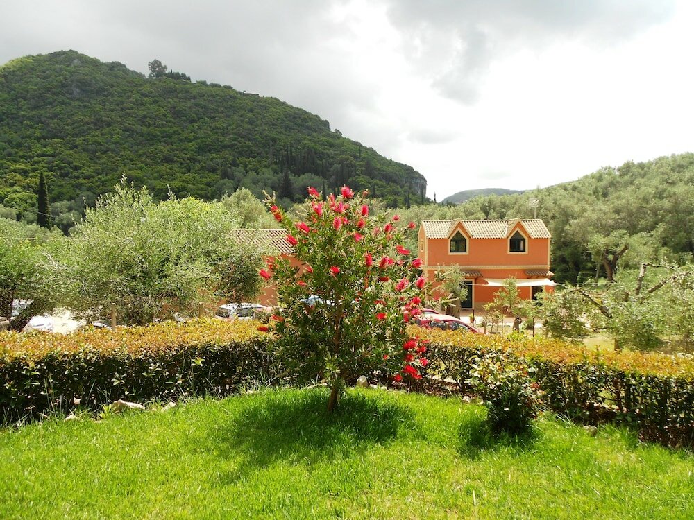 Фото Anemona Studios