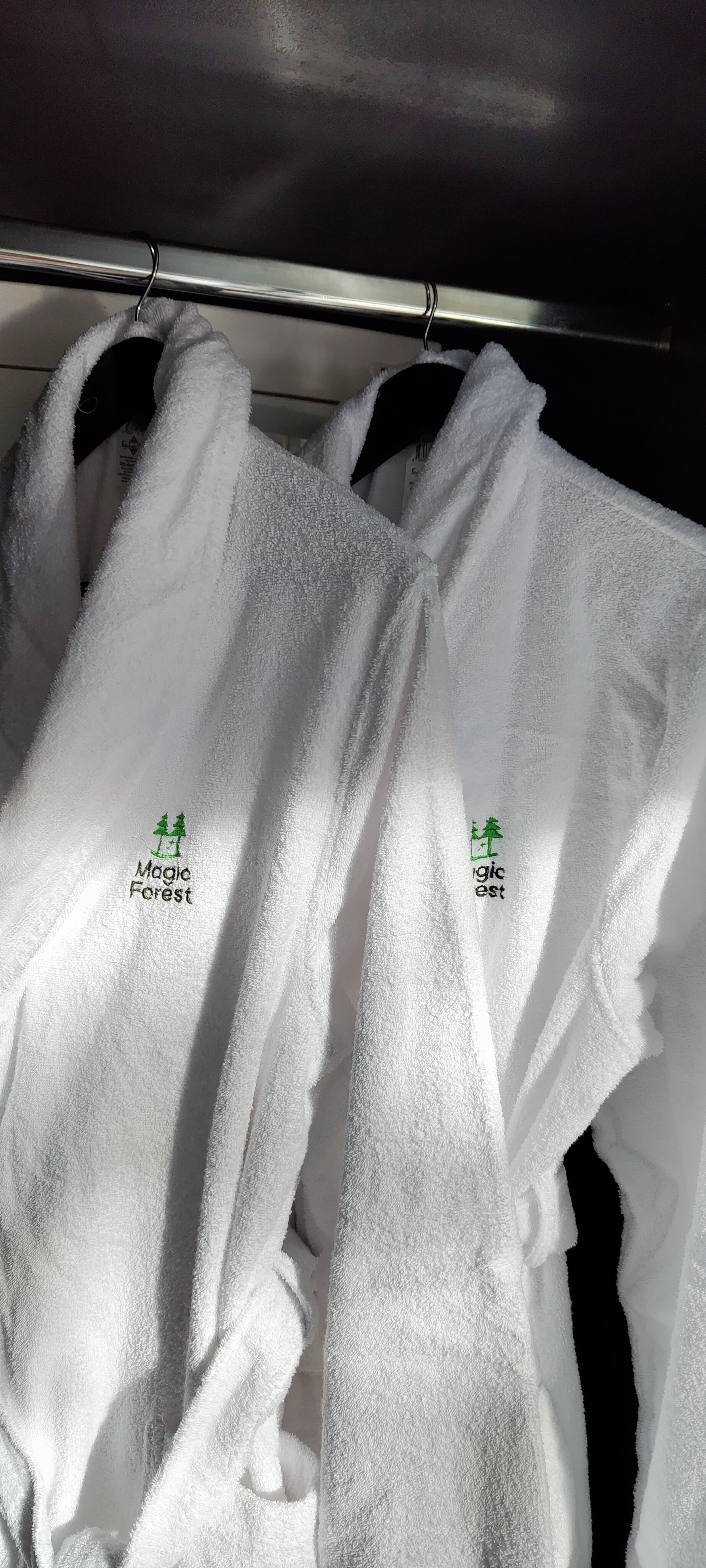 Фото Magic Forest