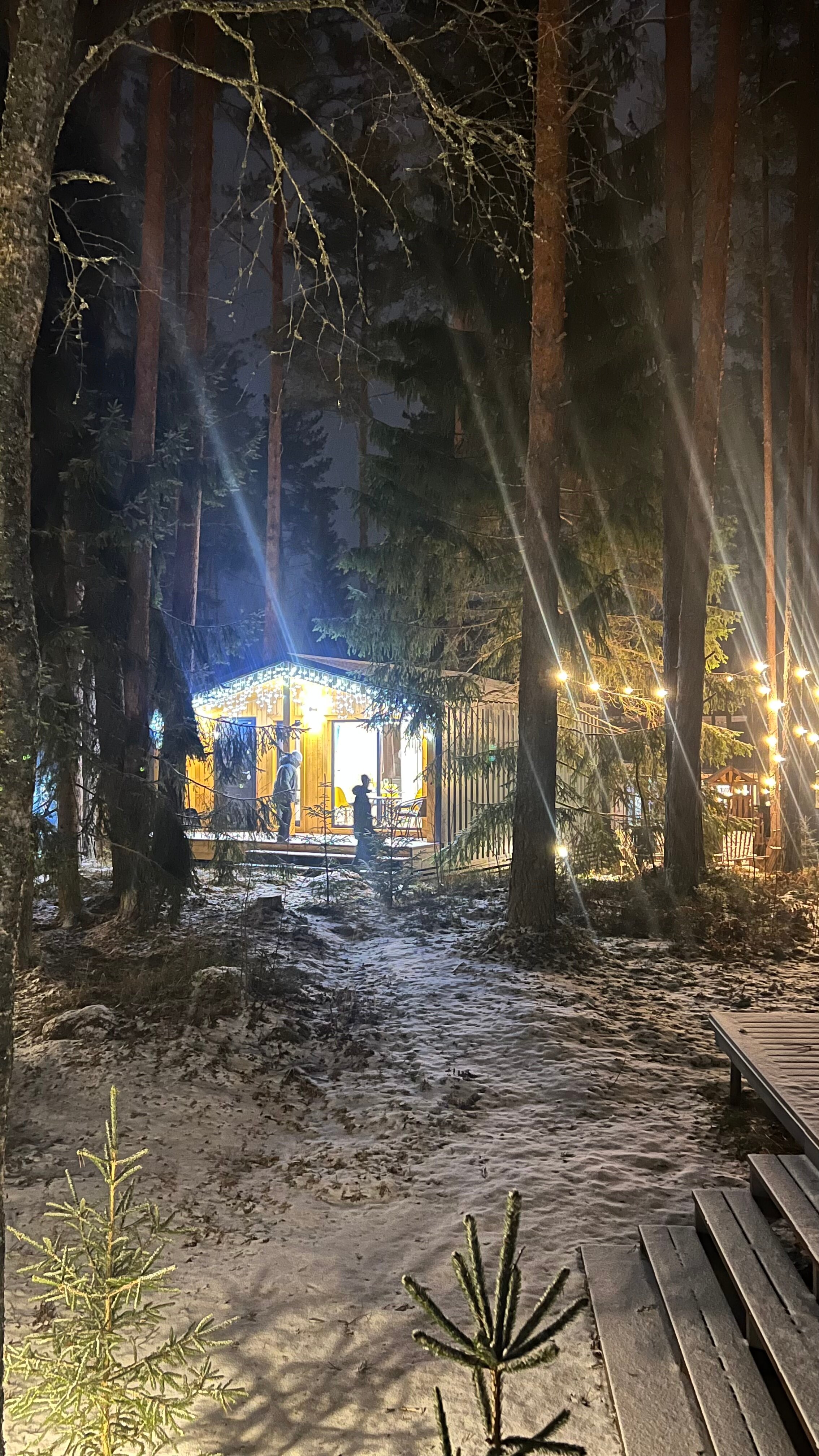 Фото Территория отдыха Лисички