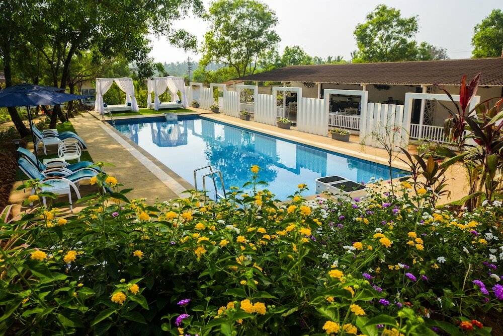 Фото White Woods Resort and Spa