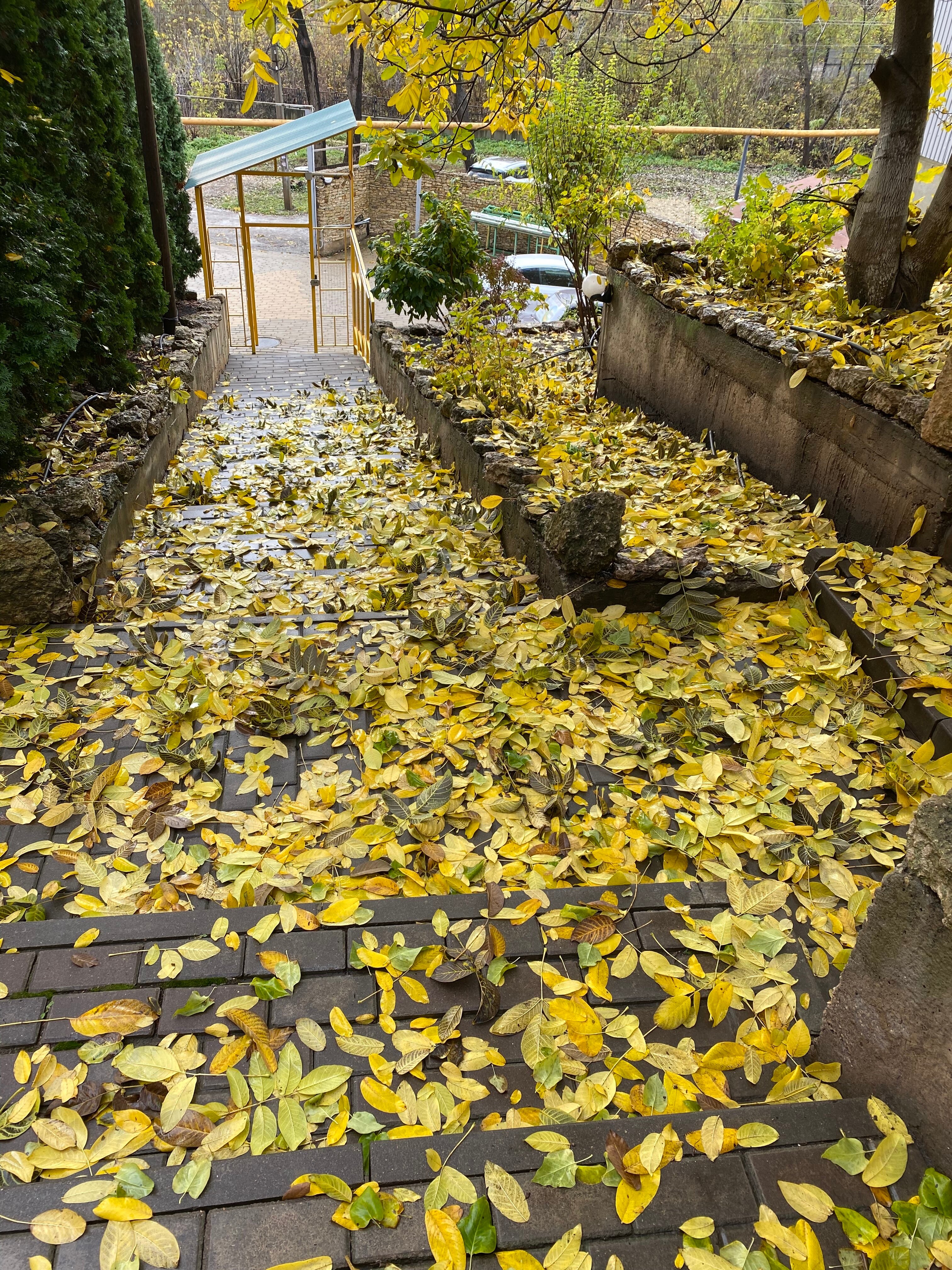 Фото Липовская