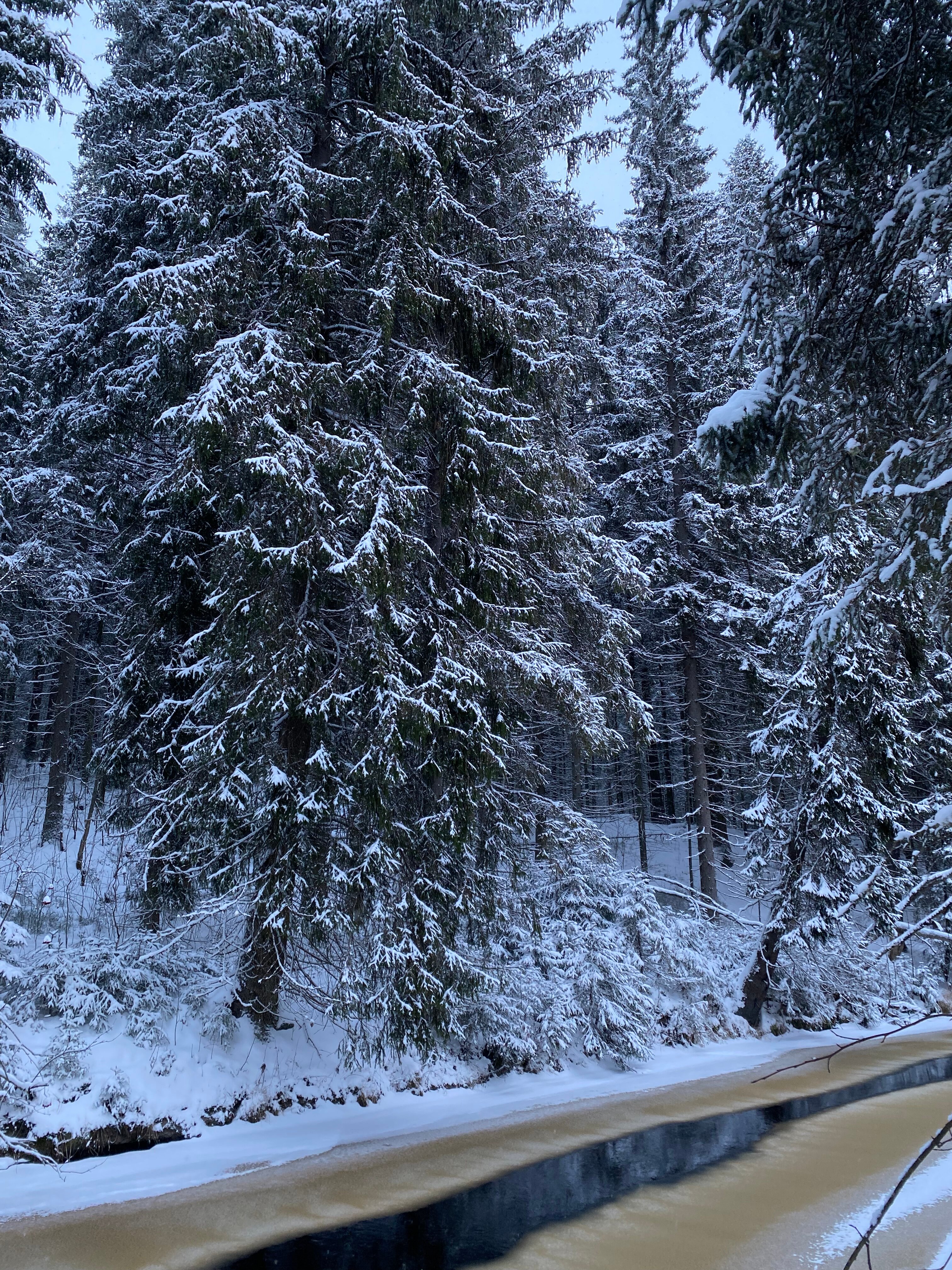 Фото Йокихутор