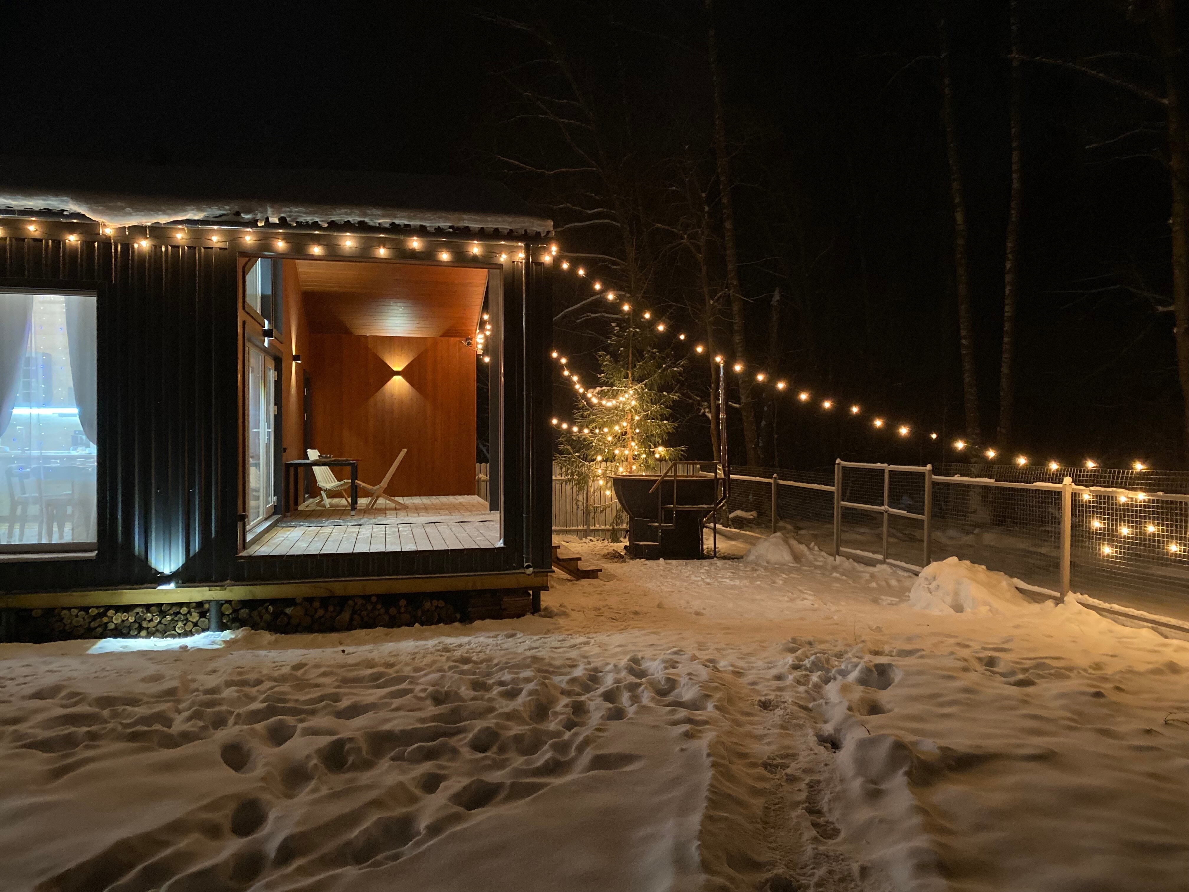 Фото У леса