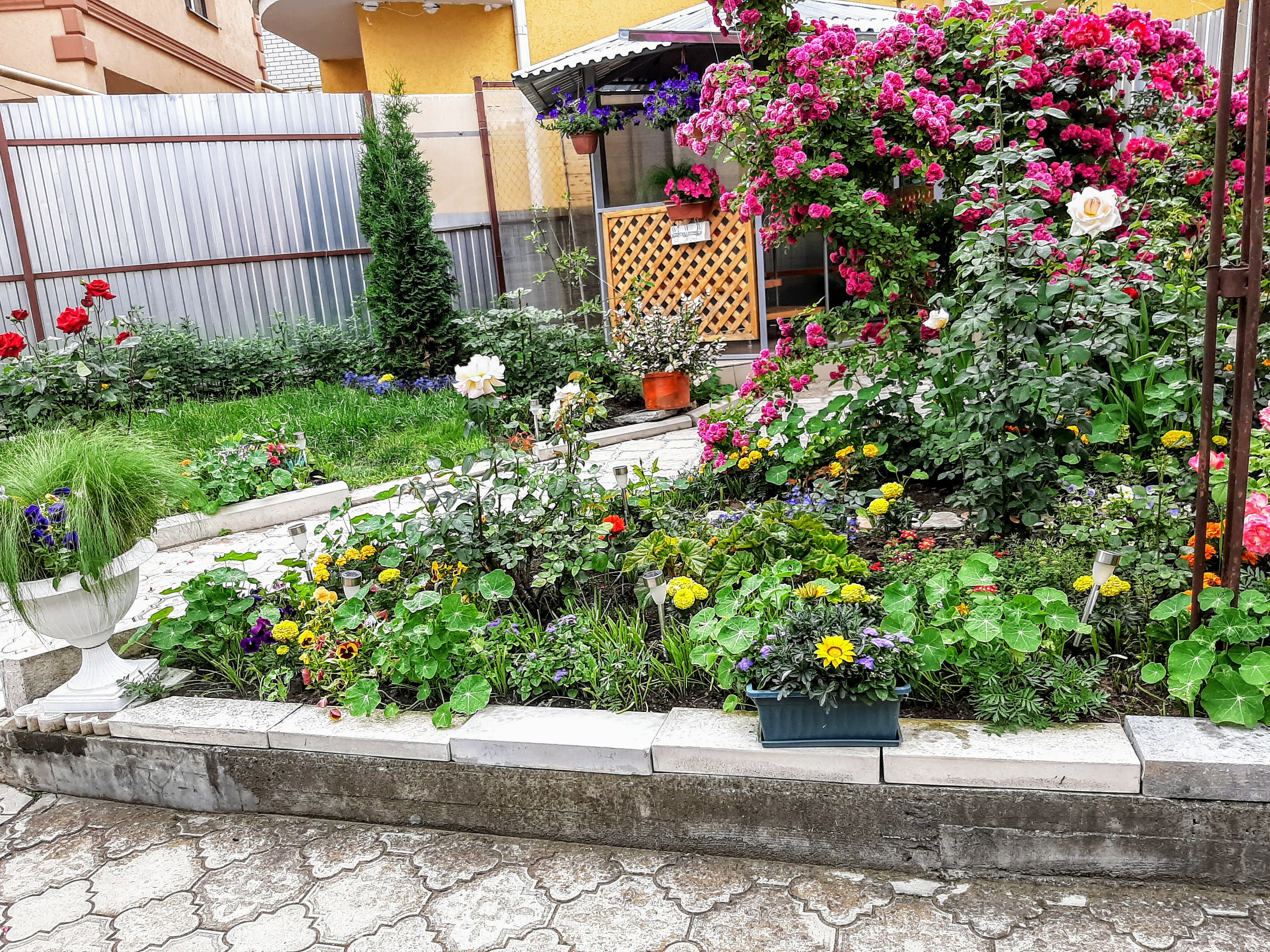 Фото Уютная