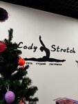 Lady stretch (Mira Street, 23), fitness club