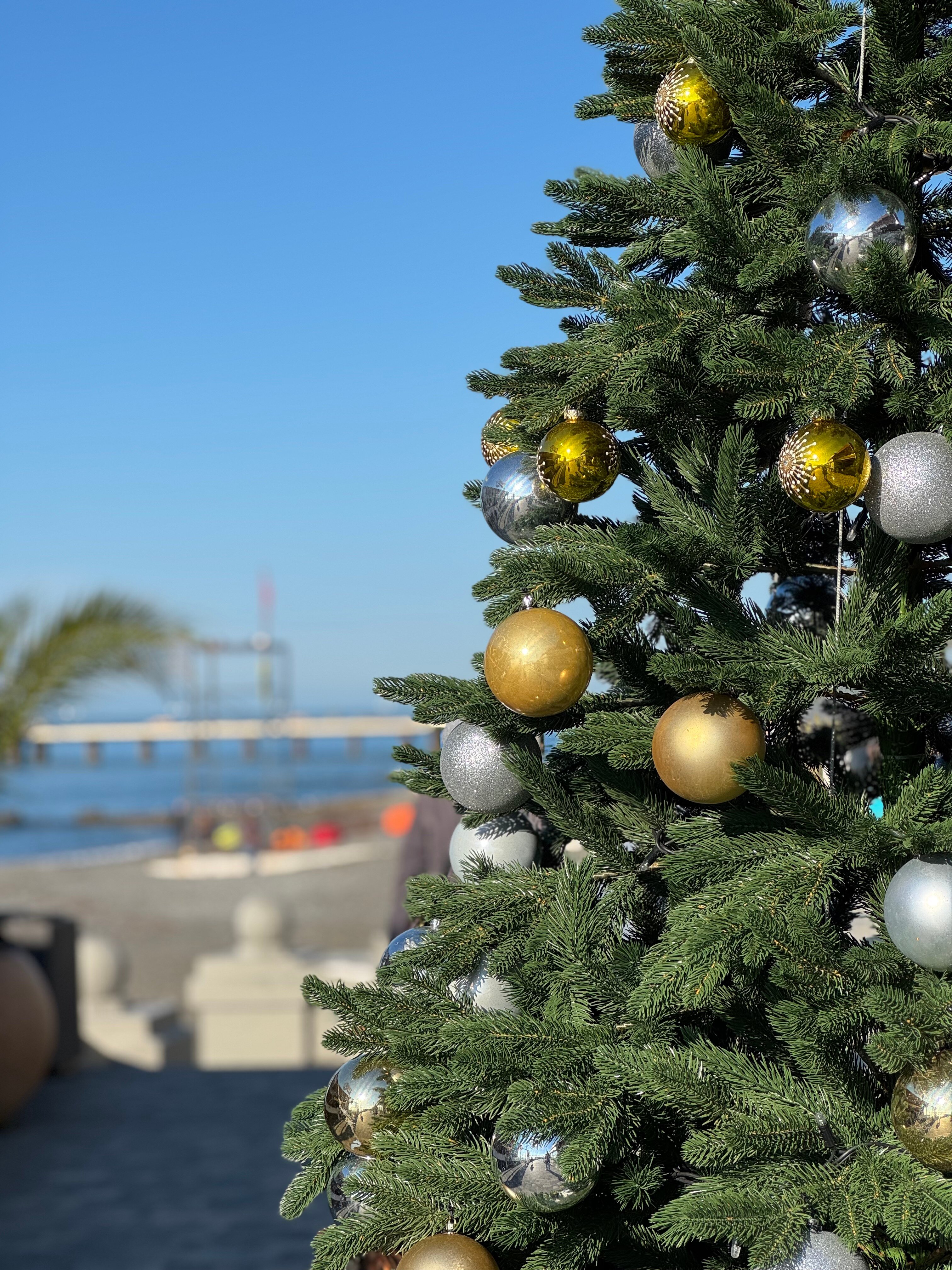 Фото Парадиз