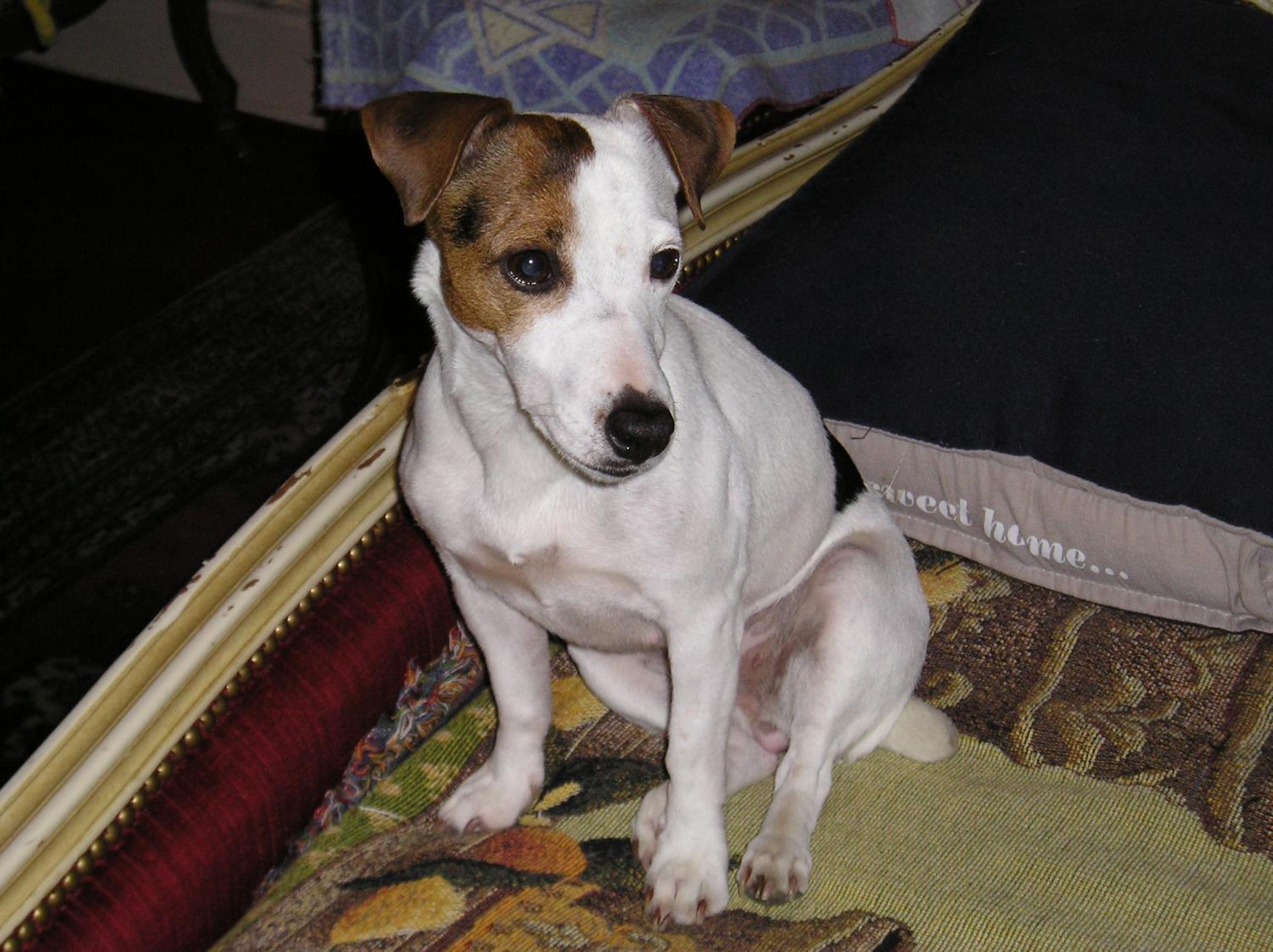 Фото Hotel du Commerce Et de Navarre