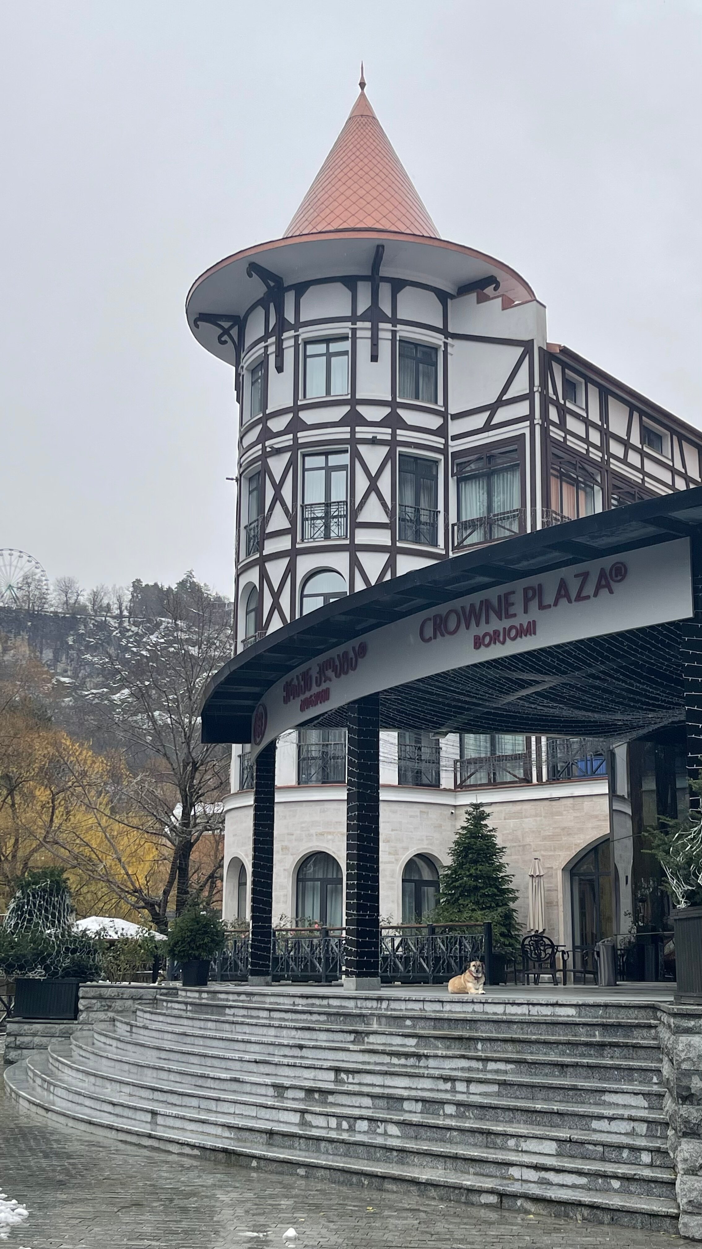 Фото Crowne Plaza Borjomi 