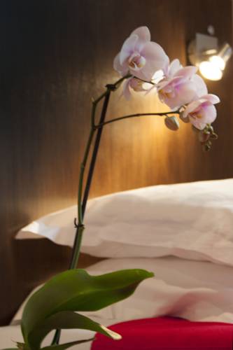 Фото Hotel Biskui