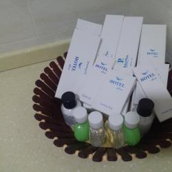 Фото Гостиница Rakat Plaza