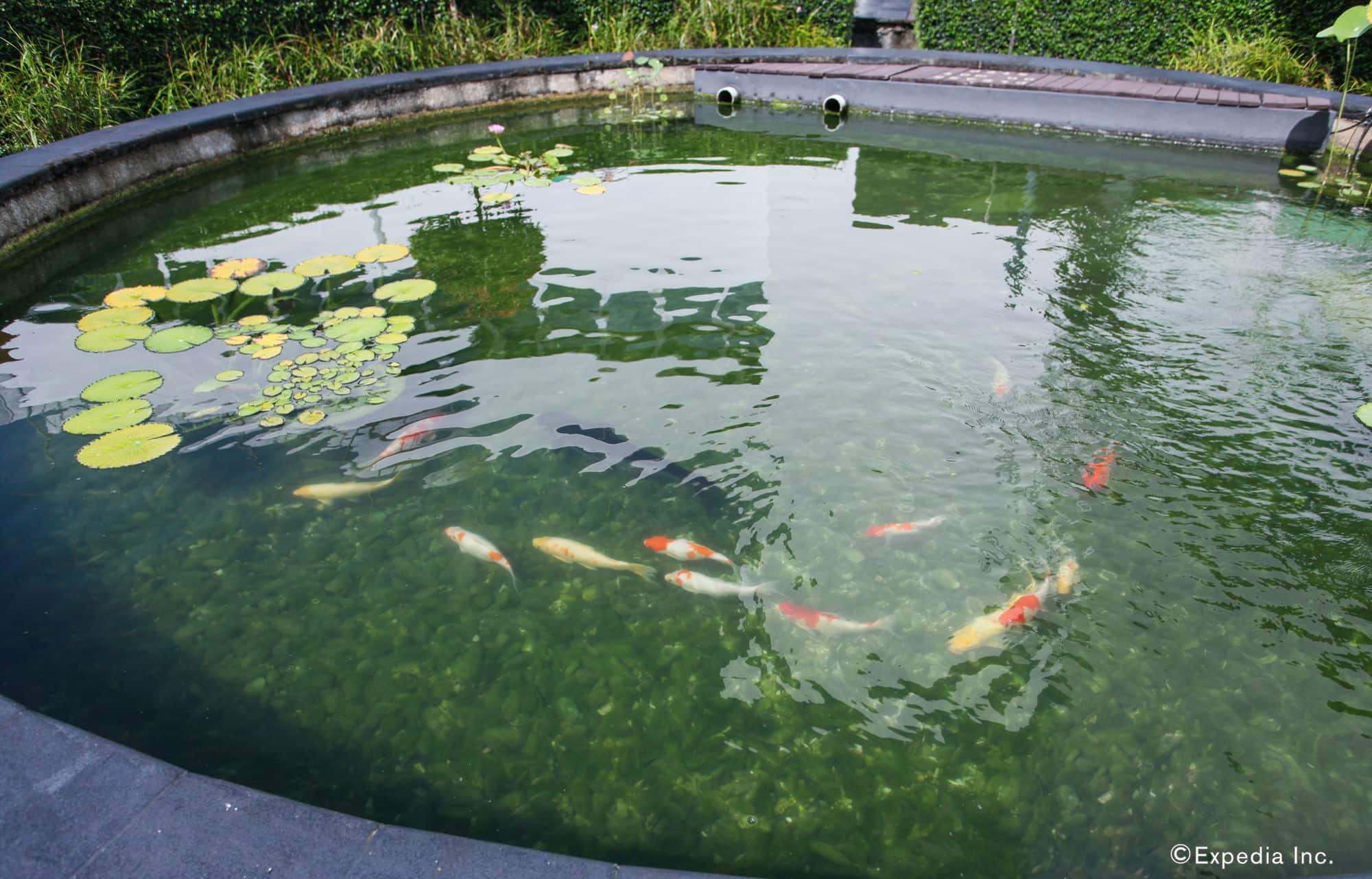 Фото Village Hotel Changi