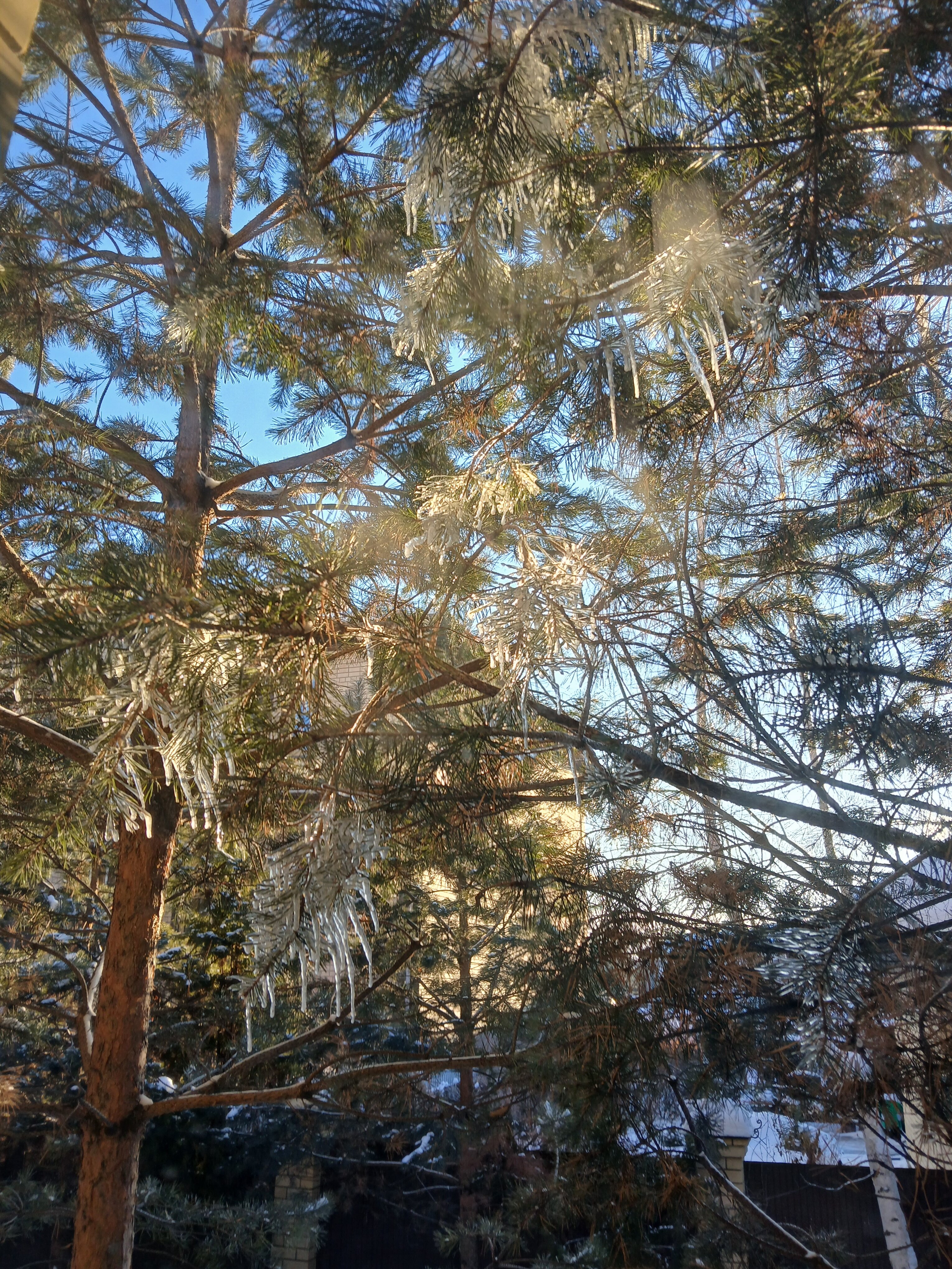 Фото Гарден