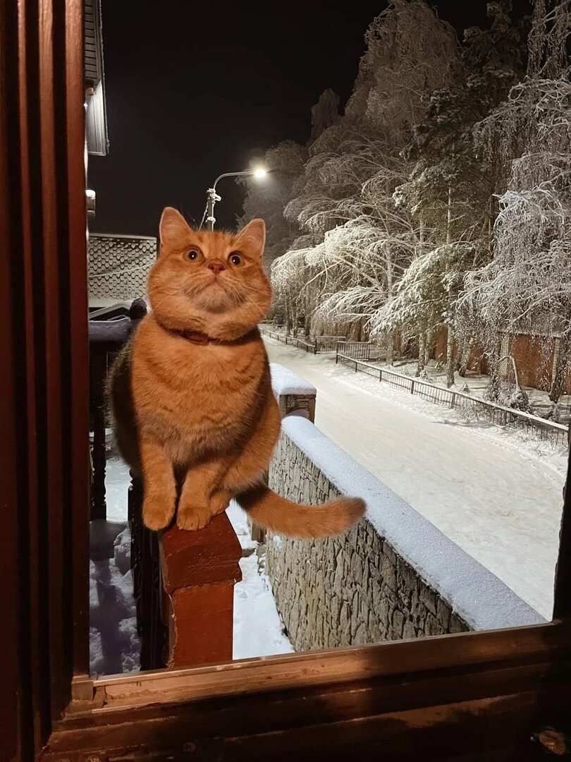 Фото Башня в Царицыно