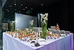 Sirius Event Service (Mustaqillik Avenue, 75), elaboración de productos de alimentación