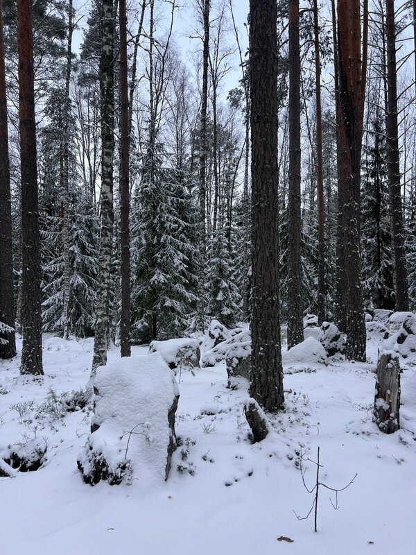 Вилла на Вуоксе — фото 23