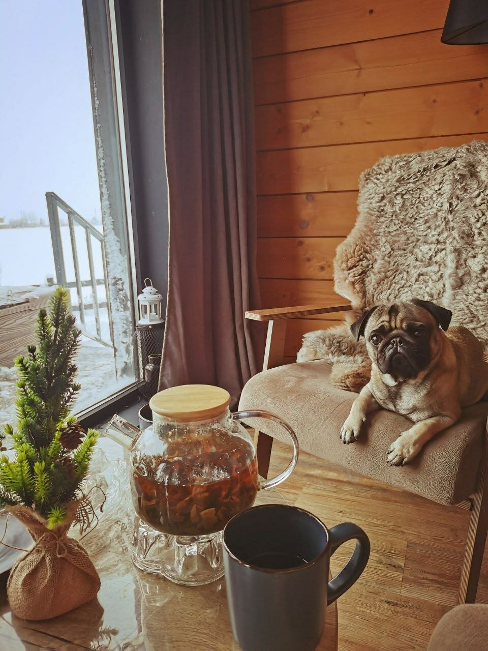 Фото 36 Градусов